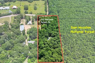 110 National Forest Rd, Cleveland, TX 77328 - Photo 26
