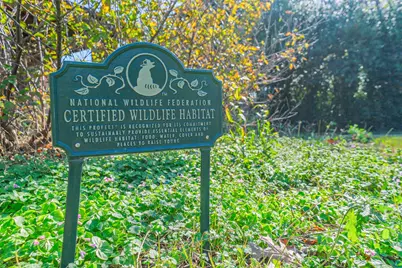 2507 Hillside Court, Sugar Land, TX 77479 - Photo 8