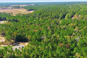 25219 Chisos Bnd, Montgomery, TX 77316 - Photo 6