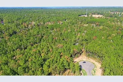 25219 Chisos Bend, Montgomery, TX 77316 - Photo 12