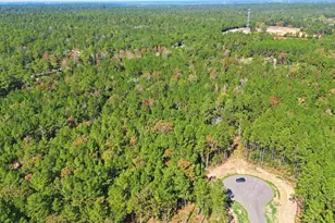 25219 Chisos Bnd, Montgomery, TX 77316 - Photo 12