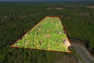 25219 Chisos Bnd, Montgomery, TX 77316 - Photo 2