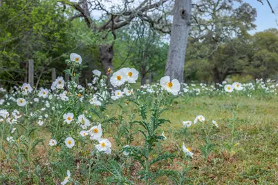 1089 Club Lane, Columbus, TX 78934 - Photo 48