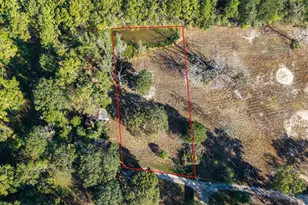 24755 Plantation Estates, Porter, TX 77365 - Photo 2