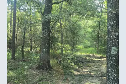 0 Tbd Hwy 150 W, Coldspring, TX 77331 - Photo 8