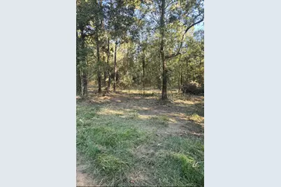 0 Tbd Hwy 150 W, Coldspring, TX 77331 - Photo 6