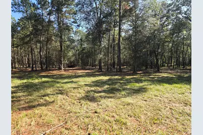 0 Tbd Hwy 150 W, Coldspring, TX 77331 - Photo 12