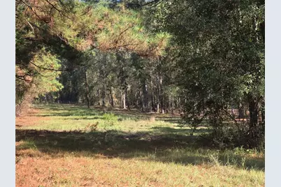 0 Tbd Hwy 150 W, Coldspring, TX 77331 - Photo 1