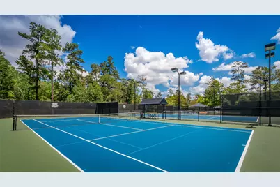 14 Maymont Way, The Woodlands, TX 77382 - Photo 48
