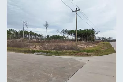 1705 Road 5894, Cleveland, TX 77327 - Photo 4