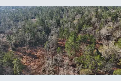 Tbd Baskin Loop, Livingston, TX 77351 - Photo 6