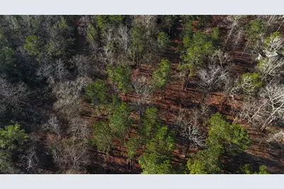 Tbd Baskin Loop, Livingston, TX 77351 - Photo 8