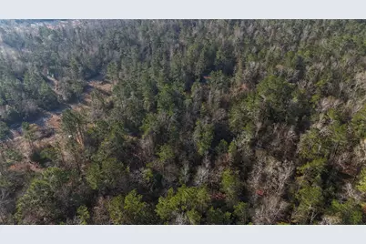 Tbd Baskin Loop, Livingston, TX 77351 - Photo 10