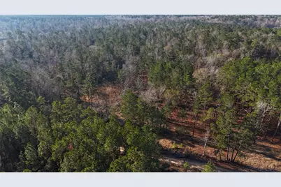 Tbd Baskin Loop, Livingston, TX 77351 - Photo 1