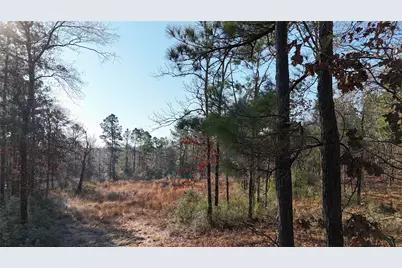 Tbd Baskin Loop, Livingston, TX 77351 - Photo 4