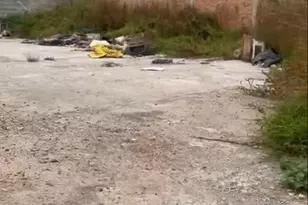 125 De Mezquitito, Almont, CO - Photo 6