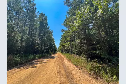 6 County Road 3230, Colmesneil, TX 75938 - Photo 4