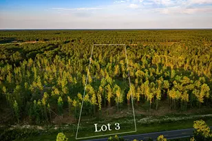 Tbd Lot 3 Fm 1276, Livingston, TX 77351 - Photo 1