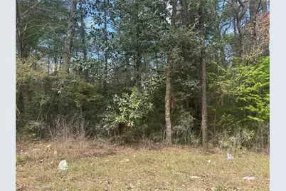 Tbd Big Foot Wallace Trail, Livingston, TX 77351 - Photo 2