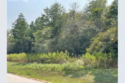 10-27-39 Pyrite Court, Huntsville, TX 77340 - Photo 4