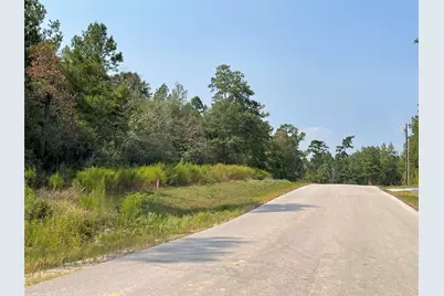 10-27-39 Pyrite Court, Huntsville, TX 77340 - Photo 6