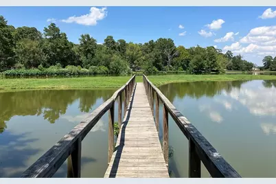 411 Shawnee Drive, Conroe, TX 77316 - Photo 14