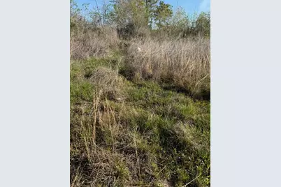 653 Road 5816, Cleveland, TX 77327 - Photo 6