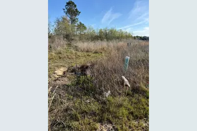 653 Road 5816, Cleveland, TX 77327 - Photo 4