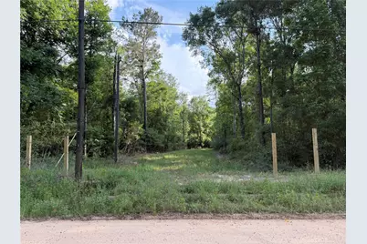 Tbd E Capps Road Road, Livingston, TX 77351 - Photo 1
