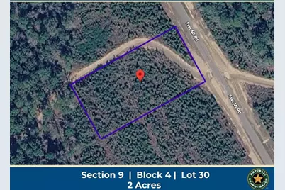 16163 Forest Mill Road, Willis, TX 77378 - Photo 1