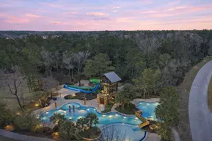 519 Caverna St, Montgomery, TX 77316 - Photo 36