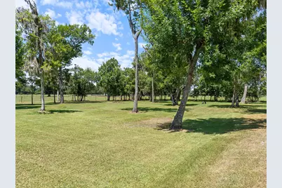 0 County Road 161 Shilo, Lots 4-13 Loop, Cedar Lane, TX 77415 - Photo 14
