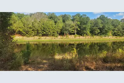 Lot 25 North Council Drive, Hempstead, TX 77445 - Photo 8