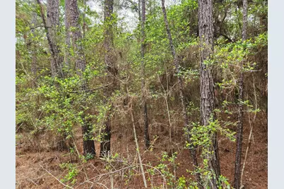 Lot 25 North Council Drive, Hempstead, TX 77445 - Photo 6