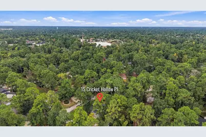 15 Cricket Hollow Place, The Woodlands, TX 77381 - Photo 30