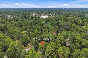 15 Cricket Hollow Pl, The Woodlands, TX 77381 - Photo 38
