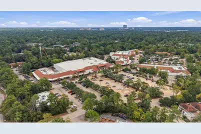 15 Cricket Hollow Place, The Woodlands, TX 77381 - Photo 40