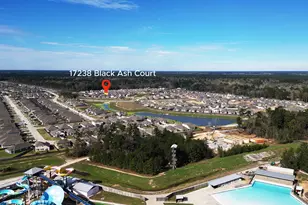 17238 Black Ash Ct, New Caney, TX 77357 - Photo 26