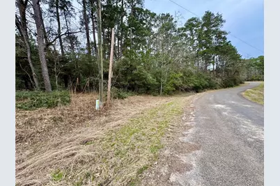 Lot 93 Whisperwood Drive, Onalaska, TX 77360 - Photo 2
