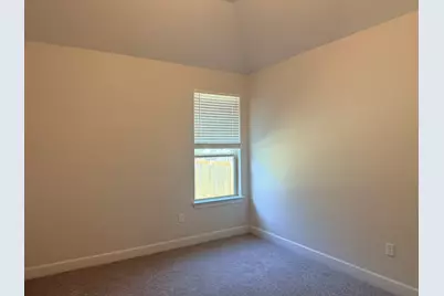 203 Trout River Road, Kyle, TX 78640 - Photo 22