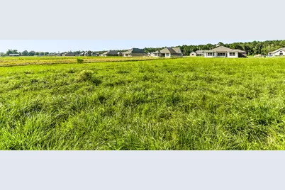 381 Barton Place Drive, Tarkington, TX 77327 - Photo 36