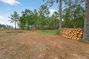 16601 Crosby St, Conroe, TX 77303 - Photo 42