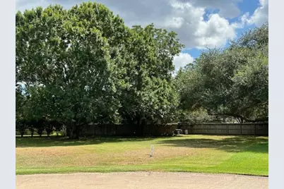 33307 Whiting Street, Fulshear, TX 77441 - Photo 4