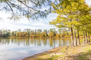 525 Pinabete Forest Court, Conroe, TX 77304 - Photo 6