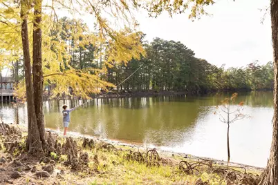 525 Pinabete Forest Court, Conroe, TX 77304 - Photo 8