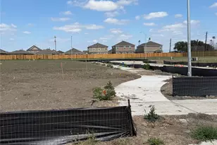 11702 Watermelon St, Houston, TX 77048 - Photo 6