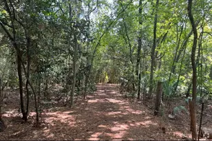 242 Vanderpool Ln, Houston, TX 77024 - Photo 44