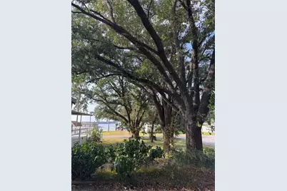 251 Ramp Way, Trinity, TX 75862 - Photo 18