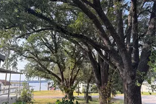 251 Ramp Wy, Trinity, TX 75862 - Photo 18