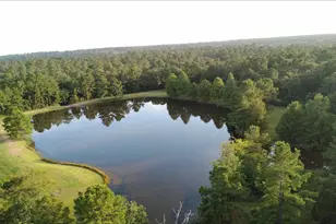 126 Dogwood Dr, Magnolia, TX 77355 - Photo 20